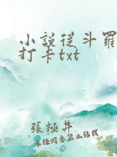 小说从斗罗开始打卡txt