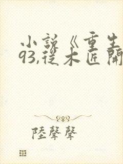 小说《重生1993,从木匠开始》