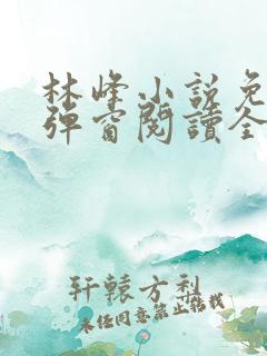 林峰小说免费无弹窗阅读全文