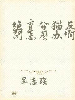 绝育公猫反复尿闭怎么办啊