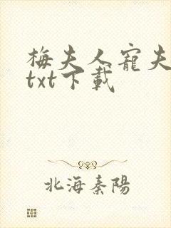 梅夫人宠夫日常txt下载