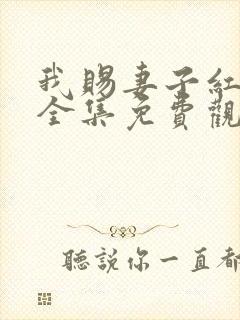 我赐妻子红缨枪全集免费观看