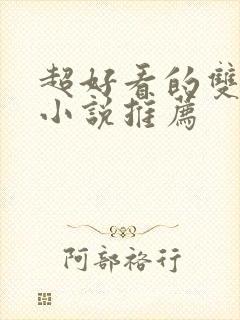 超好看的双男主小说推荐