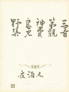 野良神第三季全集免费观看