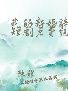 我的新婚辞旧情短剧免费观看全集