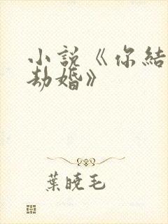 小说《你结婚我劫婚》