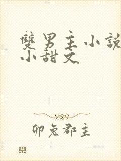 双男主小说推荐小甜文