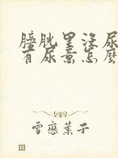 膀胱里没尿但是有尿意怎么办