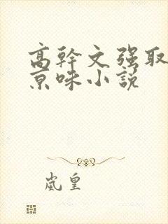 高干文强取豪夺京味小说