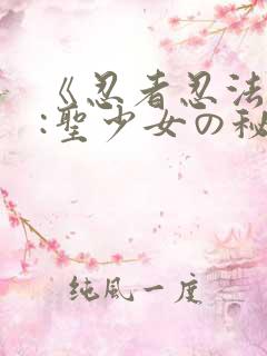 《忍者忍法帖2:圣少女の秘宝》