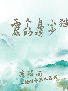 两个月小猫尿频尿的还少