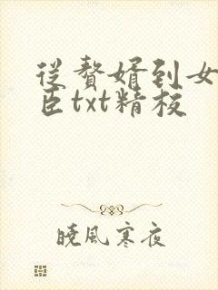 从赘婿到女帝宠臣txt精校