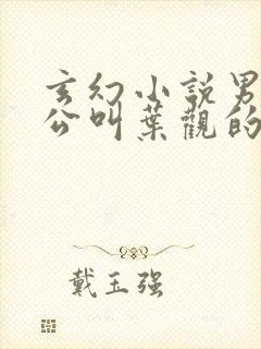 玄幻小说男主人公叫叶观的小说