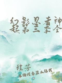 幻影忍者神龙崛起第三季全集