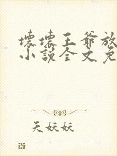 坏坏王爷放肆爱小说全文免费阅读