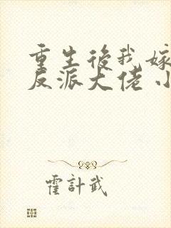 重生后我嫁给了反派大佬 小说