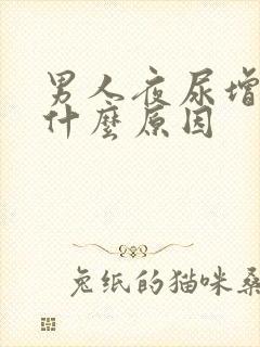 男人夜尿增多是什么原因