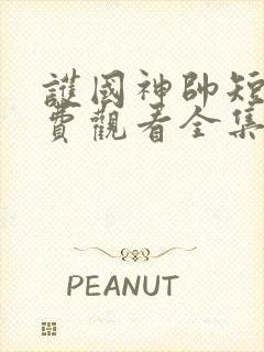 护国神帅短剧免费观看全集