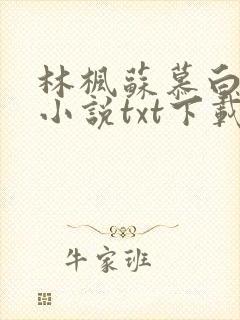 林枫苏慕白穿越小说txt下载