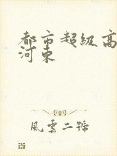 都市超级高手 河东