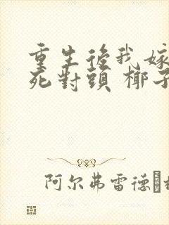 重生后我嫁给了死对头 椰子絮