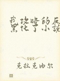 我攻略的反派都黑化了小说完整