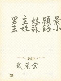 男主姓顾景琛女主姓苏的小说