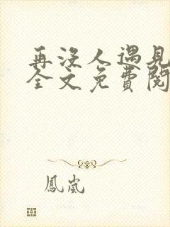 再没人遇见小说全文免费阅读