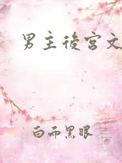 男主后宫文h