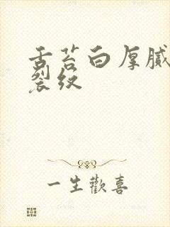 舌苔白厚腻中竖裂纹