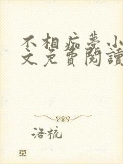 不相痴梦小说全文免费阅读