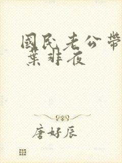 国民老公带回家 叶非夜