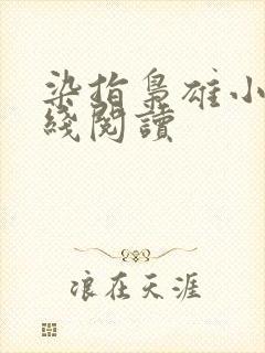 染指枭雄小说在线阅读