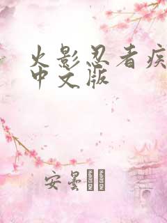 火影忍者疾风传中文版