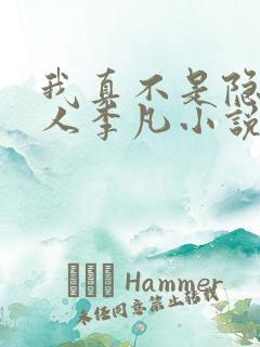 我真不是隐世高人李凡小说