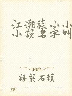 江潮苏小小穿越小说名字叫啥