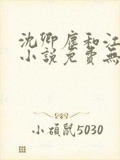 沈卿尘和江稚的小说免费无弹窗