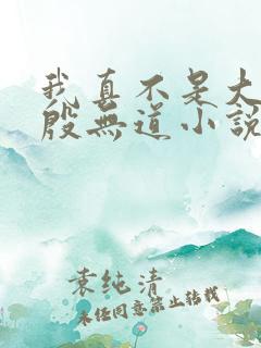 我真不是大反派殷无道小说在线阅读