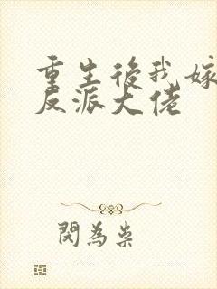 重生后我嫁给了反派大佬