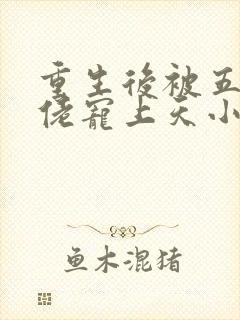 重生后被五个大佬宠上天小说免费看