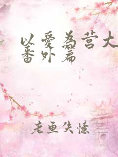 以爱为营大结局番外篇