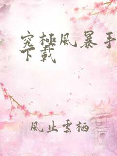 究极风暴手机版下载