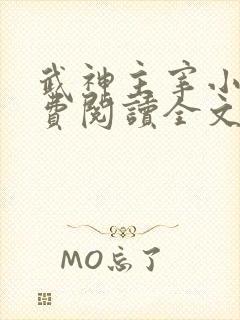 武神主宰小说免费阅读全文无弹窗