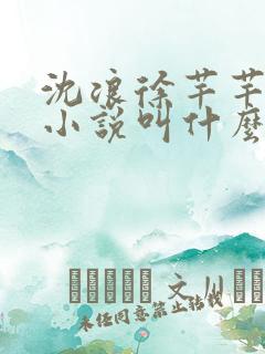 沈浪徐芊芊穿越小说叫什么名字