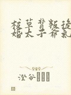 校草背叛后我闪婚太子爷气疯他苏念笙全本