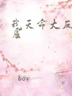 我天命大反派飞卢