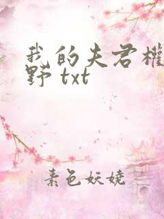 我的夫君权倾朝野 txt