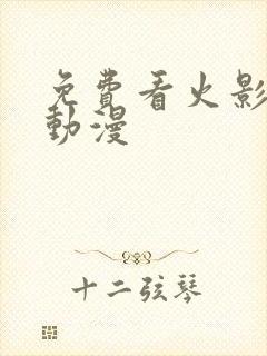 免费看火影忍者动漫