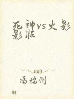 死神vs火影火影版