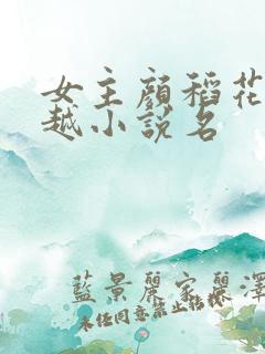 女主颜稻花的穿越小说名